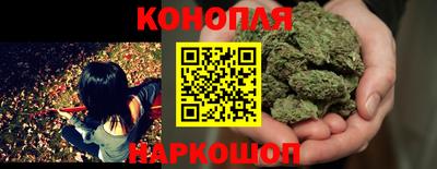 гидра Краснознаменск