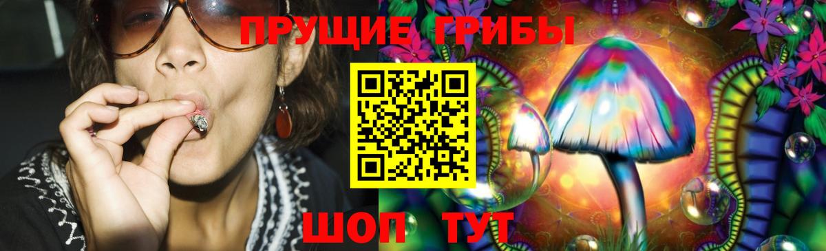 Зерноград  Галлюциногенные грибы прущие грибы  Псилоцибиновые грибы ЛСД  Вход с VPN 